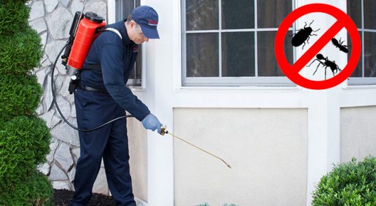 Karahallı Bit İlaçlama böcek ilaçlama ve haşere kontrolü — ilaclama-tr.com